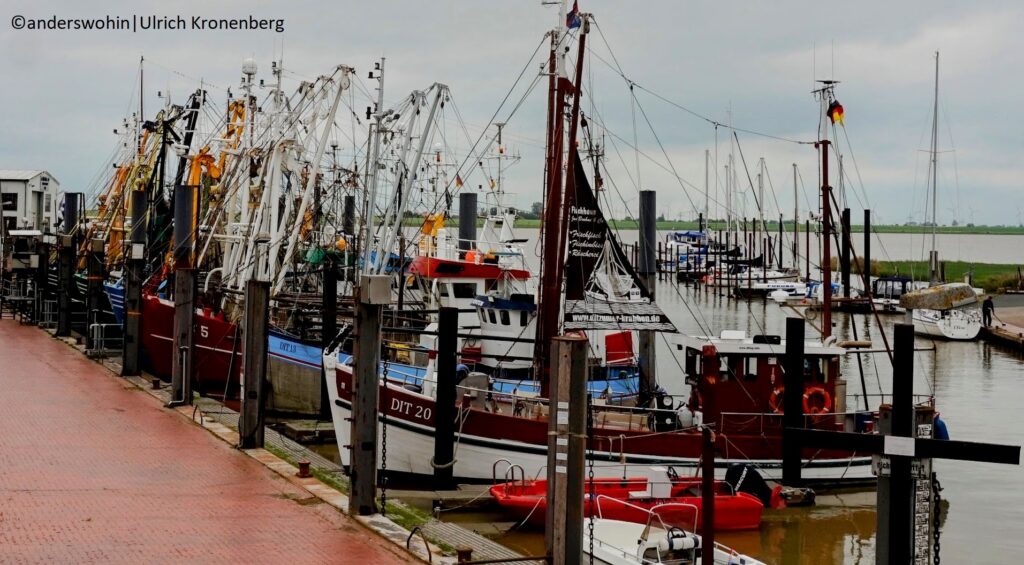Im Hafen von Ditzum liegen Fischerboote
