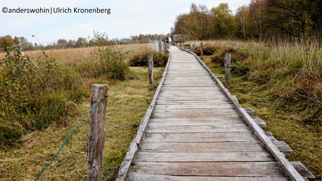 Moormuseum Moordorf: Der Weg durch das Hochmoor