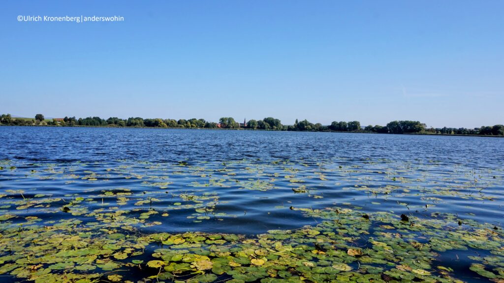 Seeburger See: der größte natürliche See Südniedersachsens